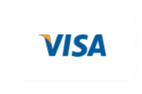 visa icon