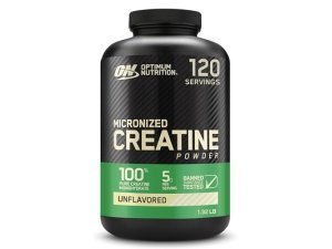 Optimum Nutrition Monohidrato de creatina micronizado en polvo, sin sabor, apto para dietas cetogénicas, 120 porciones (el empaque puede variar)