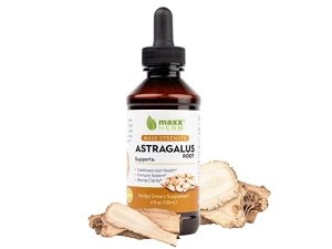 Extracto de raíz de astrágalo Maxx Herb – Tintura líquida de máxima resistencia que absorbe mejor que las cápsulas o el polvo, para apoyo inmunológico y claridad mental – Botella de 4 onzas (60 porciones)