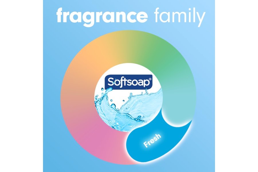 Jabón líquido para manos Softsoap, brisa fresca, 7,5 onzas líquidas (paquete de 6) - Image 9