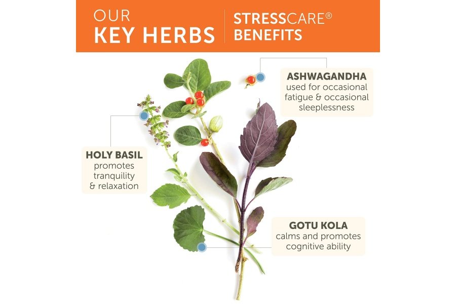 Suplemento herbario Himalaya StressCare, apoya el alivio del estrés, apoyo energético, relajación, insomnio ocasional, Ashwagandha, albahaca sagrada/Tulsi, centella asiática, sin OGM, vegetariano, 120 cápsulas - Image 3