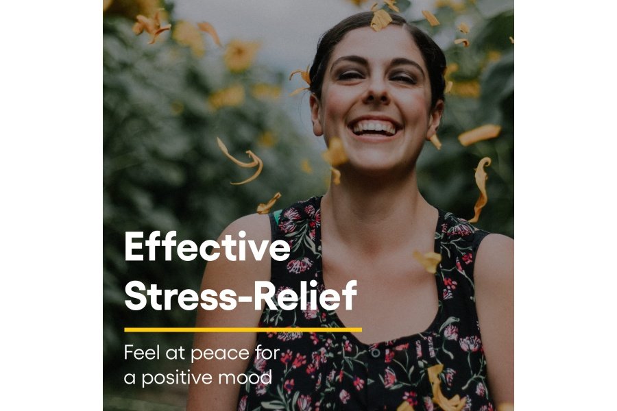 Stress-Relax Suntheanine L-Theanine masticable 100 mg de Natural Factors, apoyo al estrés sin somnolencia para la calma mental y la relajación, sabor a frutas tropicales, 60 tabletas - Image 4