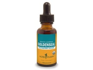 Extracto líquido de sello de oro orgánico certificado por Herb Pharm para soporte del sistema respiratorio, alcohol de caña orgánico, 1 onza