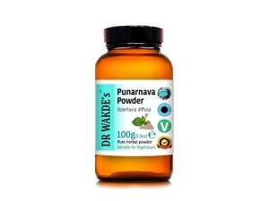 Polvo Punarnava del DR WAKDE (Boerhavia diffusa) - 100 g (3,5 oz) | Polvo puro, crudo y seco | Hierba ayurvédica | Vegano |