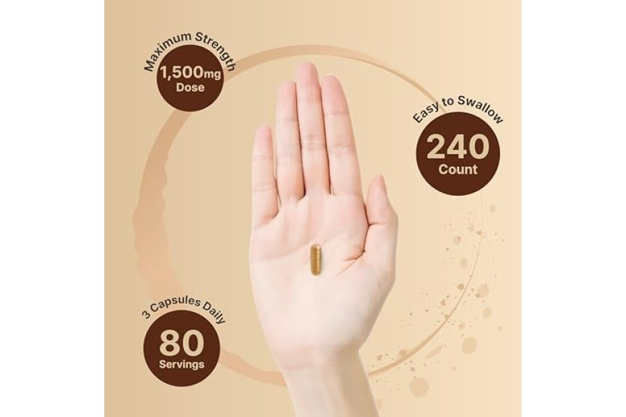Suplemento de cápsulas NatureBell Triphala, 1500 mg por porción | Hecho con polvo de fruta orgánico Amla, Bibhitaki y Haritaki – Apoya la salud digestiva – Doble fuerza, sin OGM - Image 4