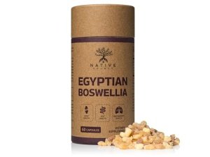 Boswellia egipcia de origen nativo | Extracto de Boswellia Serrata | BioPerine® | Botella 95% biodegradable sin BPA | Suministro para 30 días | Salud intestinal, respiratoria y articular