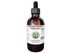 Extracto líquido sin alcohol de Dong Quai, angélica china orgánica (Angelica sinensis) glicerita de raíz seca 2 oz