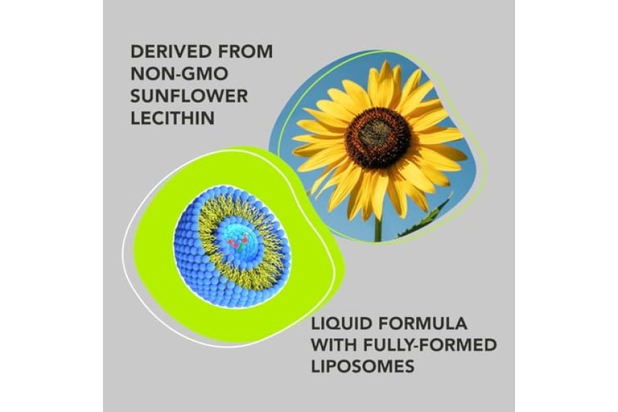 Suplemento de glutatión liposomal AMANDEAN. Setria Reducida Líquida 500mg. Apoyo inmunológico, salud cerebral, desintoxicación del hígado, salud de la piel. Fosfatidilcolina procedente de lecitina de girasol sin OGM. Sin soja y vegano. - Image 4