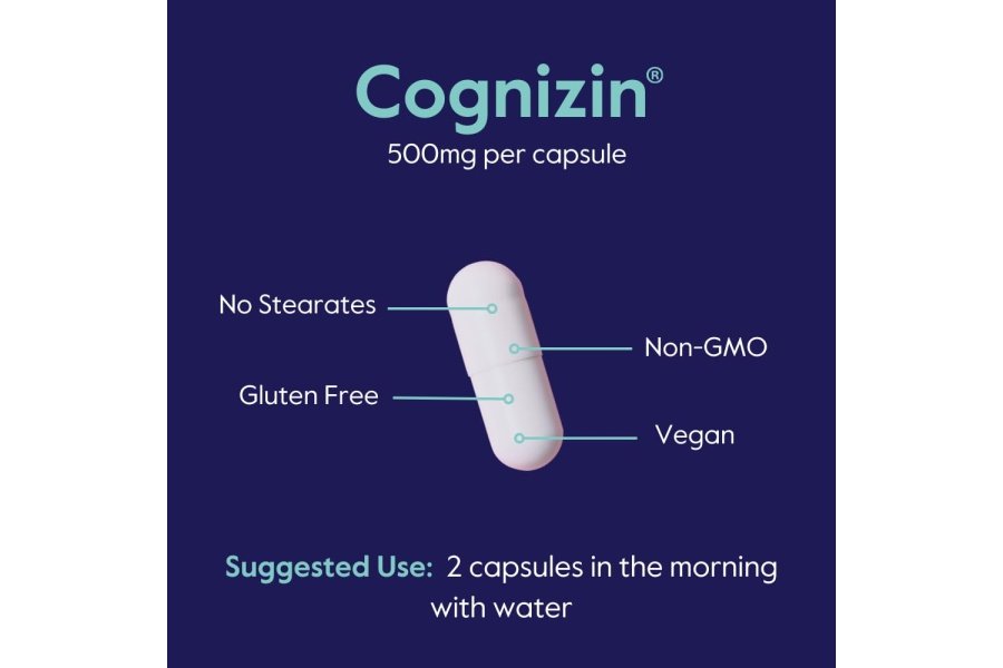 BESTVITE Cognizin Citicolina 500 mg (60 cápsulas vegetarianas) - Forma clínicamente estudiada de citicolina - Sin estearatos - Vegano - Sin OGM - Sin gluten - Suplementos cerebrales para la memoria y el enfoque - Image 6