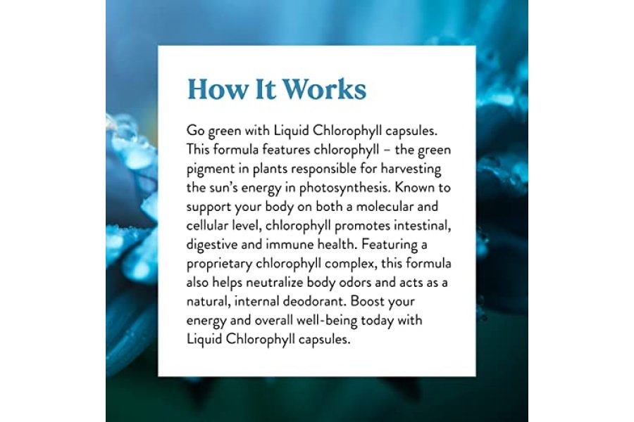 Clorofila Nature's Sunshine, 60 cápsulas de gelatina blanda | Ayuda a respaldar las funciones de limpieza de la sangre del cuerpo y fortalece los sistemas inmunológico e intestinal. - Image 6