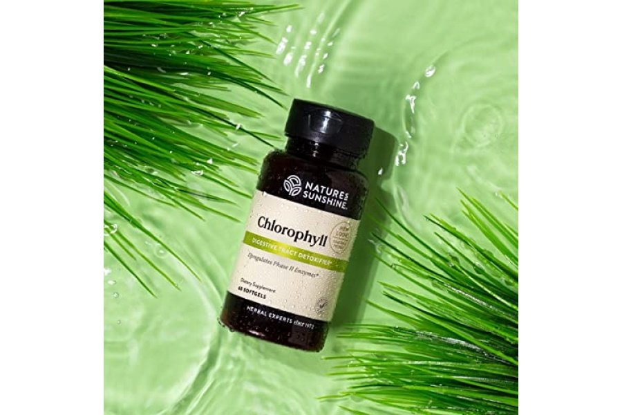 Clorofila Nature's Sunshine, 60 cápsulas de gelatina blanda | Ayuda a respaldar las funciones de limpieza de la sangre del cuerpo y fortalece los sistemas inmunológico e intestinal. - Image 2