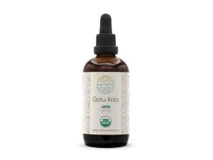 Tintura orgánica Gotu Kola A120 USDA | Extracto de alcohol, gotas de hierbas de alta potencia | Hierba seca orgánica certificada Gotu Kola (Centella asiática) (4 oz)
