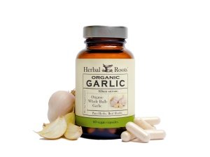 Pastillas de ajo de bulbo entero orgánico Herbal Roots - Potente fuerza extra | 600 mg - 60 Cápsulas Veganas Orgánicas