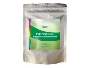BioPure Chlorella Pyrenoidosa – Superalimento nutracéutico 100% orgánico, de pared celular agrietada, repleto de proteínas, vitaminas, minerales y aminoácidos que respalda el metabolismo, la desintoxicación y la inmunidad 1000 tabletas