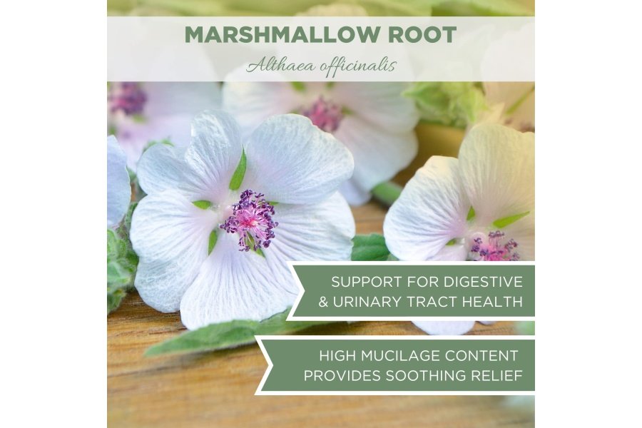 Hierba de raíz de malvavisco orgánica 4 oz. (113 g), raíz de malvavisco orgánica certificada por el USDA a granel, raíz de malvavisco, Althaea officinalis, raíz de malvavisco, té de raíz de malvavisco, hierba Althea, cortada y tamizada - Image 6
