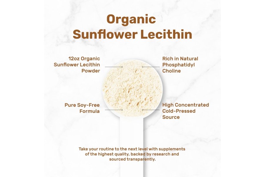 Lecitina de girasol orgánica en polvo, 12 oz – Sin soja, a base de plantas, fosfatidilcolina natural – Suplemento de lactancia para mujeres – Sin OGM - Image 3