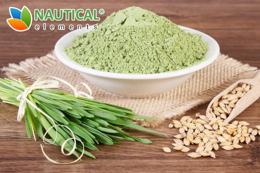 Polvo de hierba de cebada - Polvo de hierba de cebada orgánica certificada por el USDA - Sin OGM, vegano y no irradiado - Rico en antioxidantes, proteínas, fibra, minerales, clorofila, aminoácidos y proteínas - 200 gramos - Image 9