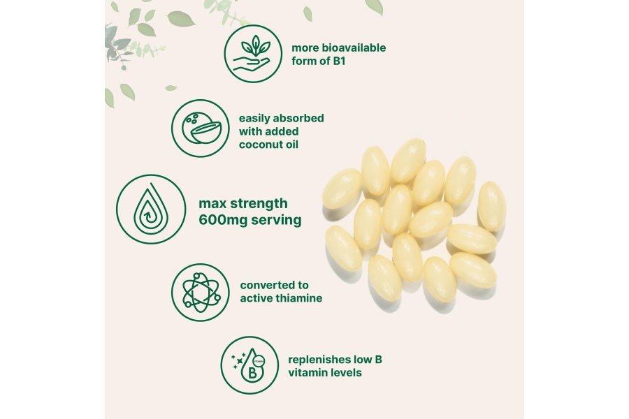 Micro Ingredients Vitamina B1 Benfotiamina 600 mg por porción, 240 cápsulas blandas de aceite de coco | Suplemento de vitaminas B biodisponibles, convertido en tiamina activa | Sin OGM, sin soja - Image 3