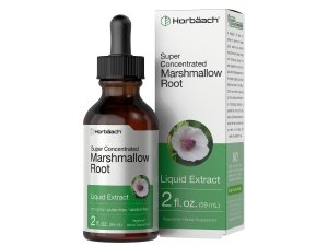 Tintura de extracto de raíz de malvavisco Horbäach | 2 onzas líquidas | Althaea officinalis líquido | Sin alcohol | Vegetariano, sin OGM y sin gluten
