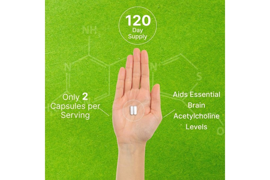 SUPLEMENTO DE OFERTA Alpha GPC 600 mg por porción, 240 cápsulas – Reposición de colina biodisponible – Suplementos nootrópicos para la salud del cerebro para la memoria y la concentración – Sin OGM, sin gluten - Image 5